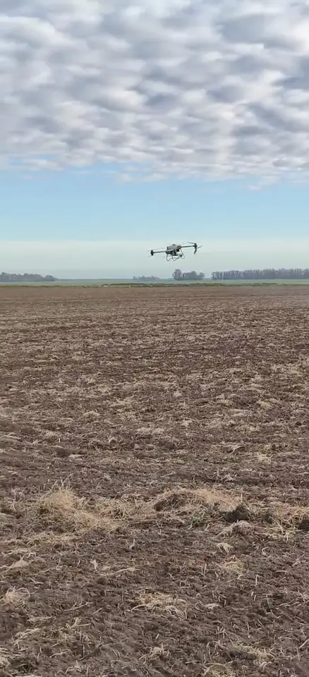 Drone agrícola volando bajo sobre el lote, con cielo nublado